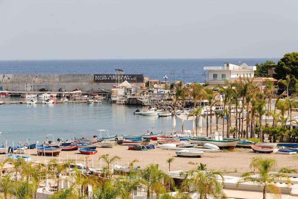 Kalaskiso' جيارديني ناكسوس المظهر الخارجي الصورة